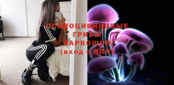 дживик Арсеньев