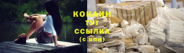 дживик Арсеньев