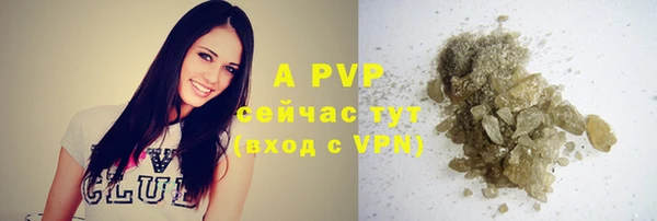 дживик Арсеньев