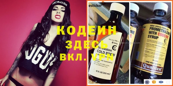 хмурый Армянск