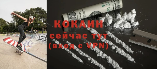 дживик Арсеньев