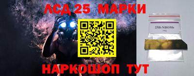 молекула духа Новозыбков