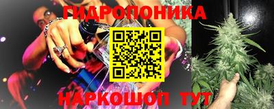 молекула духа Новозыбков